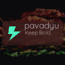 pavadyu